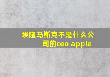 埃隆马斯克不是什么公司的ceo apple